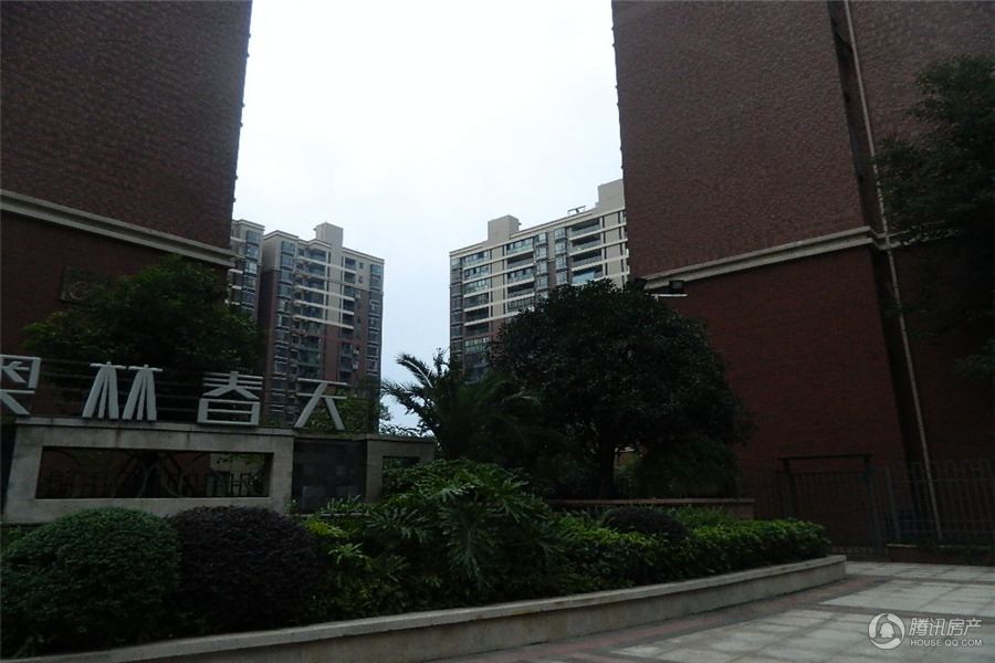 奥林春天 实景图 2014-10-23