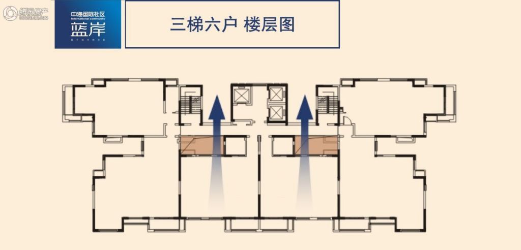 楼层平面(三梯六户)