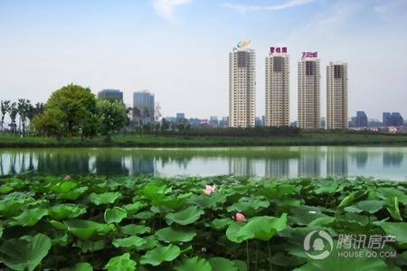 电子秤排行榜_大黄鱼电子秤收鱼扣篮扣水推荐标准