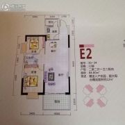桐洋新城2室2厅1卫88平方米户型图