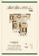 清能清江锦城三期珂园2室2厅1卫92--94平方米户型图