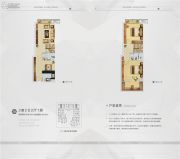 三盛滨江国际2室2厅2卫48平方米户型图