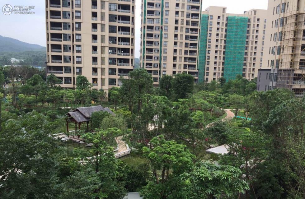 白云区白云新城的珠江岭南公馆在售建面约381-418平五房大户型单位