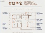 碧桂园天骄公馆5室2厅3卫226平方米户型图