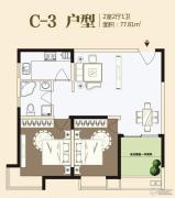 九龙城2室2厅1卫77平方米户型图