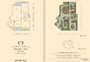 东晟蓝滨城3室2厅2卫100平方米户型图