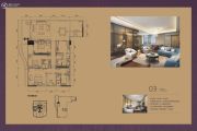 中洲・中央公寓E-CLASS天睿5室2厅4卫163--169平方米户型图