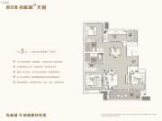 新空港孔雀城天樾3室2厅2卫135平方米户型图