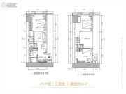 华远华时代（长沙）3室1厅1卫55平方米户型图