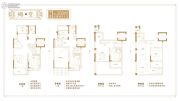 西华龙樾5室2厅3卫250平方米户型图
