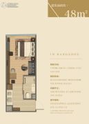 杭州印1室1厅1卫48平方米户型图